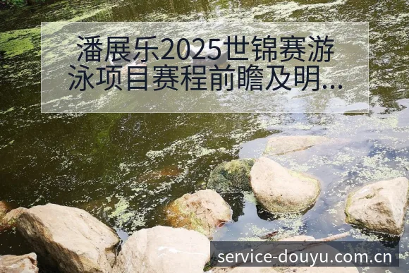 潘展乐2025世锦赛游泳项目赛程前瞻及明星选手观察分析 - 斗鱼